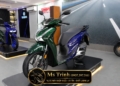 SH150 Vetro Italy 2 in 1 Green-Sapphire